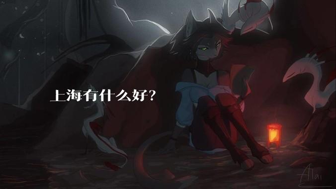 上海有什么好？