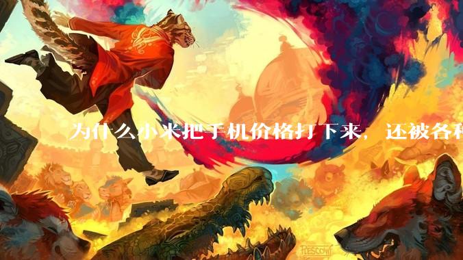 为什么小米把手机价格打下来，还被各种人骂？
