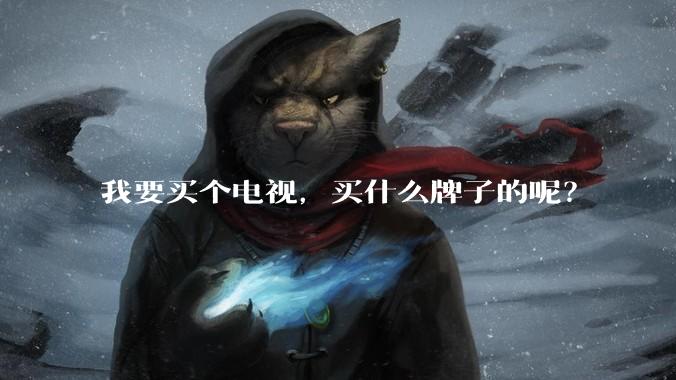 我要买个电视，买什么牌子的呢？