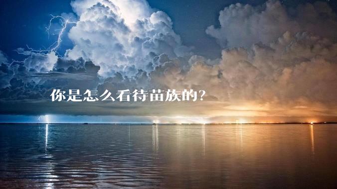 你是怎么看待苗族的？