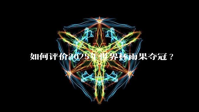 如何评价2025年世界杯雨果夺冠?