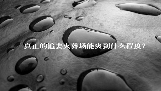 真正的追妻火葬场能爽到什么程度？
