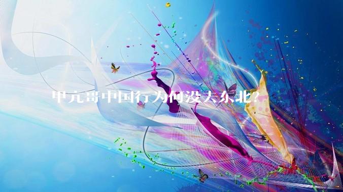 甲亢哥中国行为何没去东北？