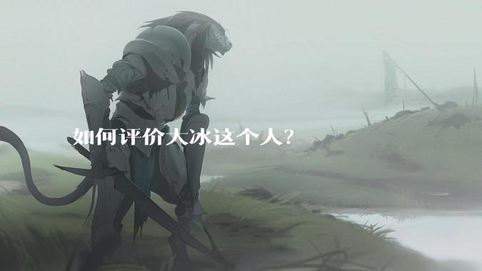如何评价大冰这个人？