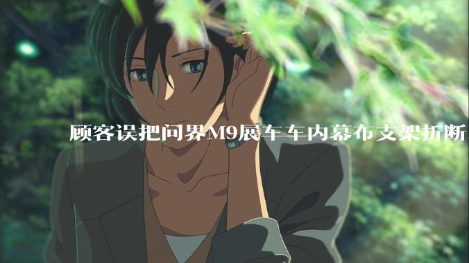 顾客误把问界M9展车车内幕布支架折断，被要求赔偿7000-10000元，你怎么看？