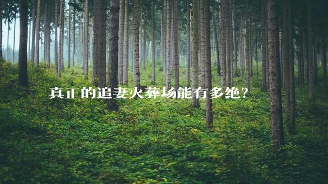 真正的追妻火葬场能有多绝？