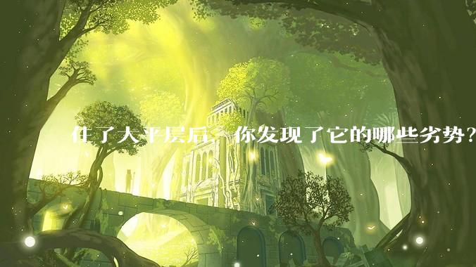 住了大平层后，你发现了它的哪些劣势？