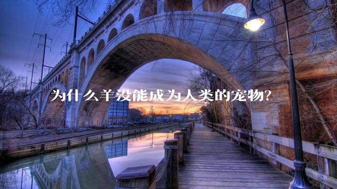为什么羊没能成为人类的宠物？