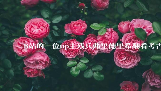 B站的一位up主残兵弗里德里希翻看考古报告，发现上世纪90年代，洛阳出土了东汉时期的马镫，保真吗？