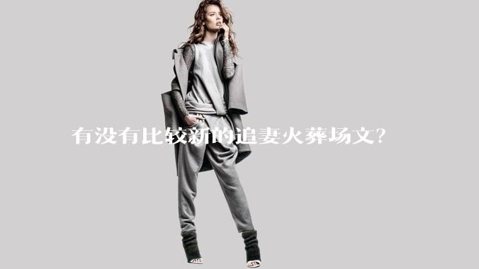 有没有比较新的追妻火葬场文？