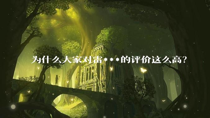 为什么大家对雷***的评价这么高？