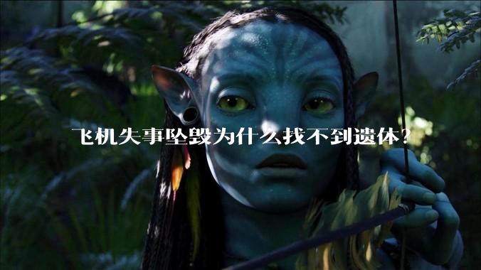 飞机失事坠毁为什么找不到遗体？