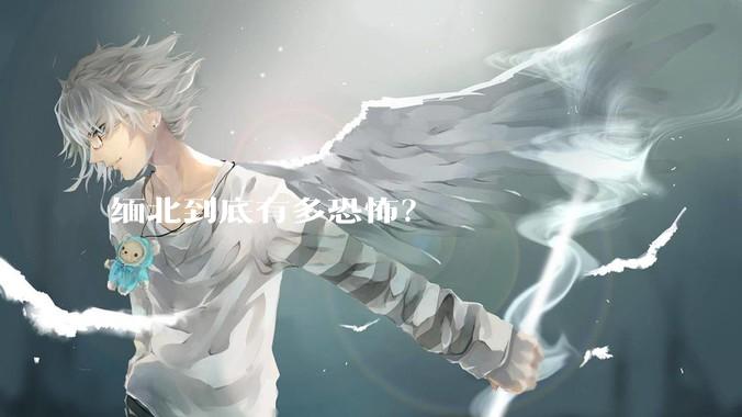 缅北到底有多恐怖？
