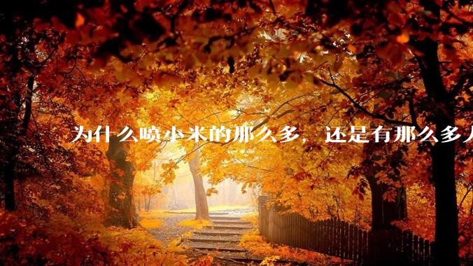 为什么喷小米的那么多，还是有那么多人买呢？