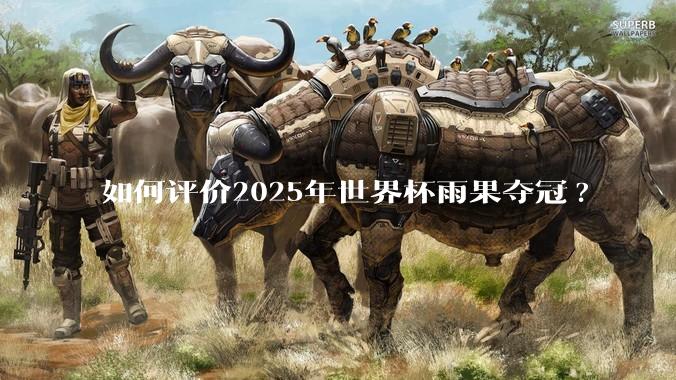 如何评价2025年世界杯雨果夺冠?