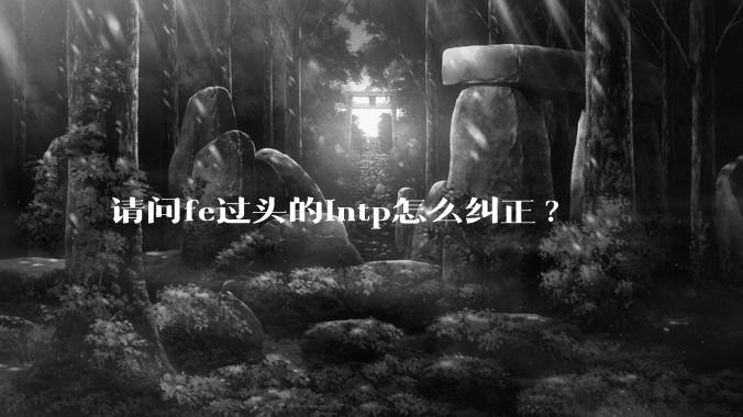 请问fe过头的intp怎么纠正?