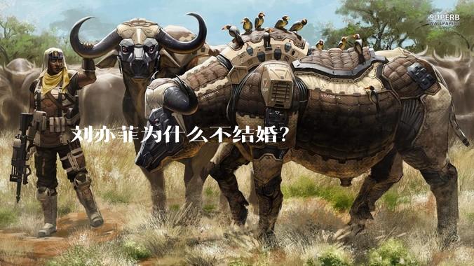 刘亦菲为什么不结婚？