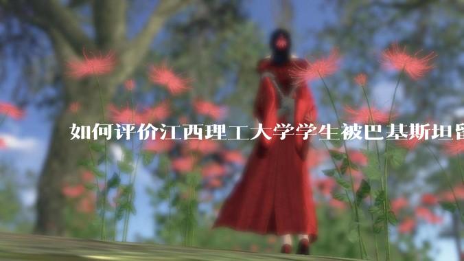 如何评价江西理工大学学生被巴基斯坦留学生群殴?