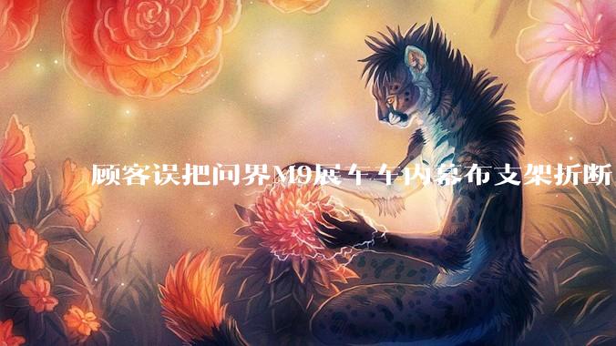 顾客误把问界M9展车车内幕布支架折断，被要求赔偿7000-10000元，你怎么看？