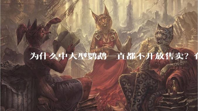 为什么中大型鹦鹉一直都不开放售卖？有哪些原因呢?