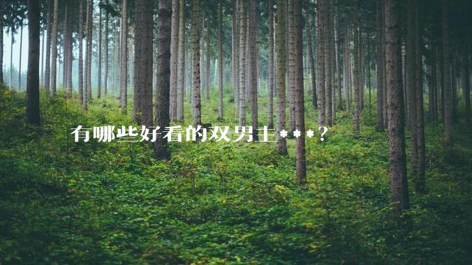 有哪些好看的双男主***？