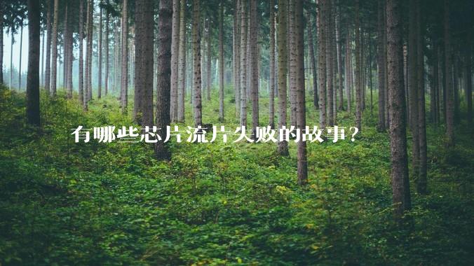 有哪些芯片流片失败的故事？
