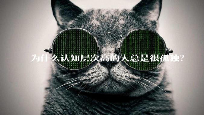 为什么认知层次高的人总是很孤独？