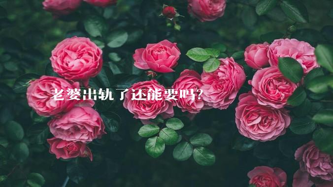 老婆出轨了还能要吗？