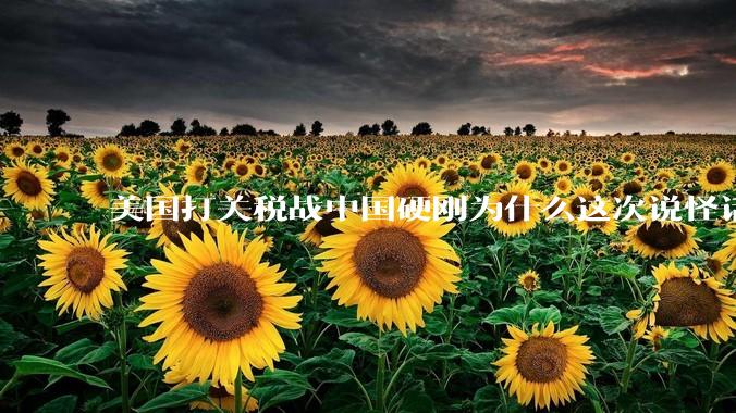 美国打关税战中国硬刚为什么这次说怪话的人少了？连公知大V也不例外？