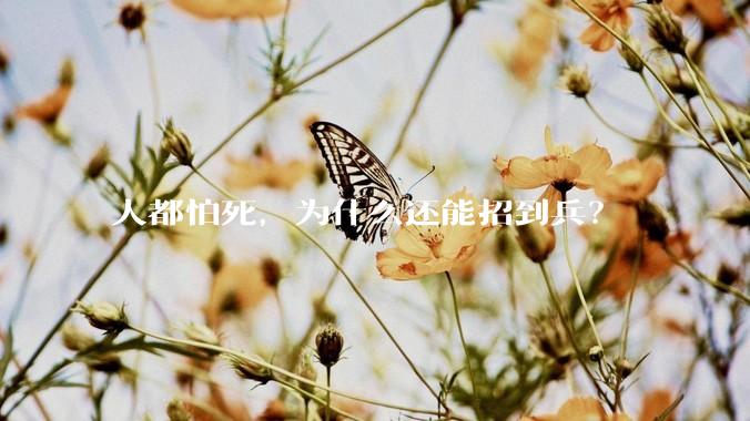 人都怕死，为什么还能招到兵？