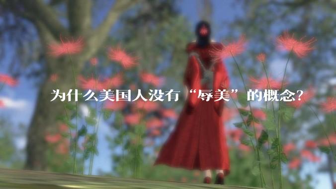为什么美国人没有“辱美”的概念？