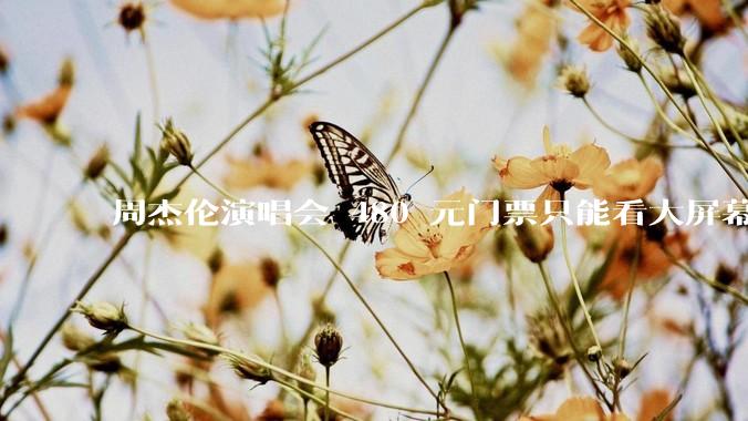 周杰伦演唱会 480 元门票只能看大屏幕，这个价格合理吗？你能接受演唱会现场看不到***吗？