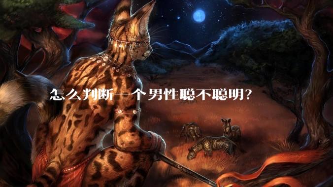 怎么判断一个男性聪不聪明？