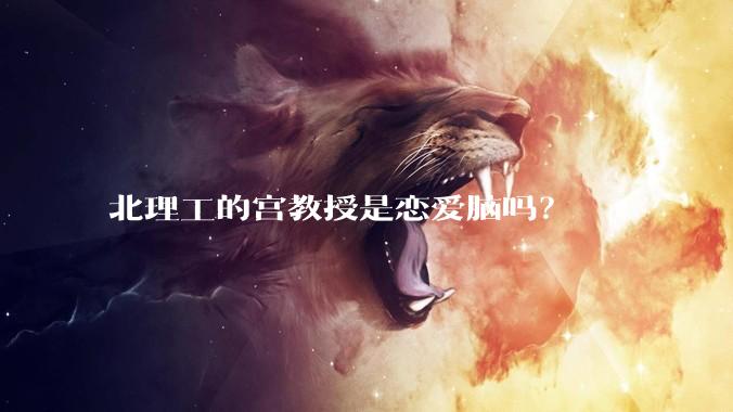 北理工的宫教授是恋爱脑吗？