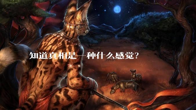 知道真相是一种什么感觉？
