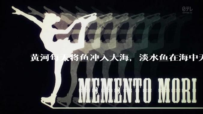 黄河每天将鱼冲入大海，淡水鱼在海中无法生存活，这些鱼去哪里了？
