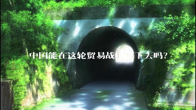 中国能在这轮贸易战中撑下去吗？
