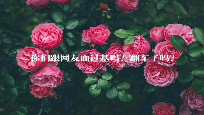 你们跟网友面过基吗？翻车了吗？