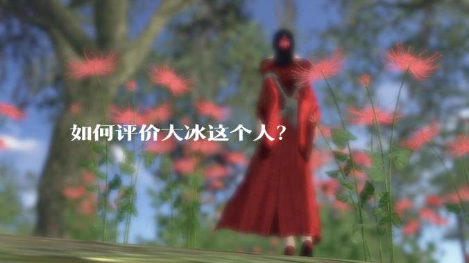 如何评价大冰这个人？