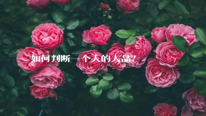 如何判断一个人的人品？