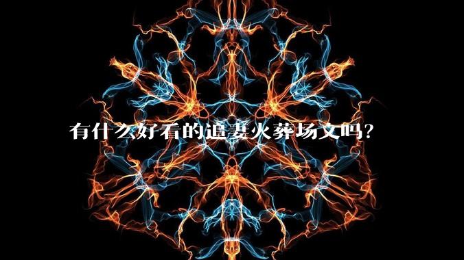 有什么好看的追妻火葬场文吗？