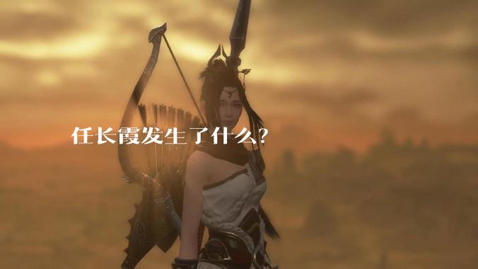 任长霞发生了什么？