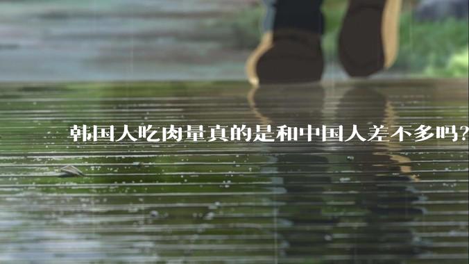 韩国人吃肉量真的是和中国人差不多吗？