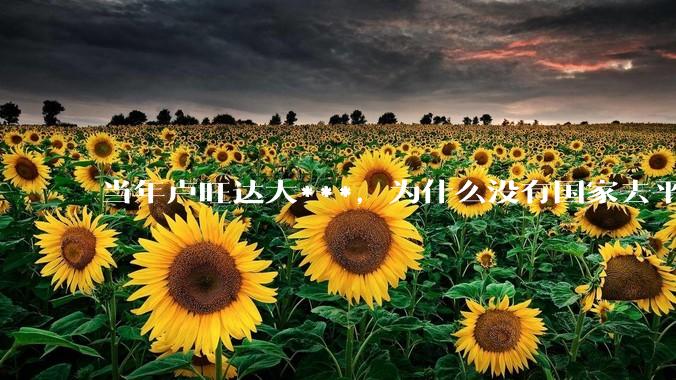 当年卢旺达大***，为什么没有国家去平息?