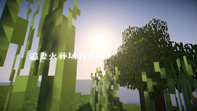 追妻火葬场有多爽？