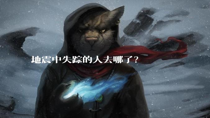 地震中失踪的人去哪了？