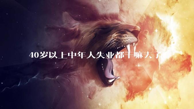 40岁以上中年人失业都干嘛去了？