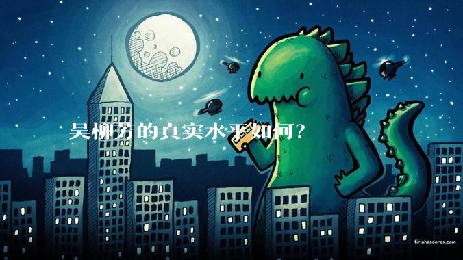 吴柳芳的真实水平如何？