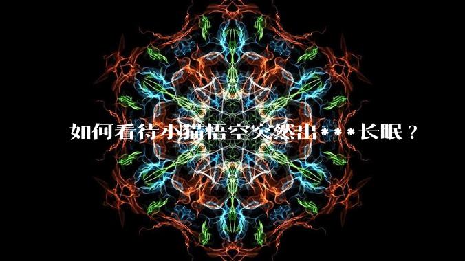 如何看待小猫悟空突然出***长眠?