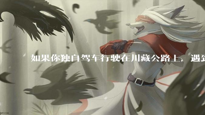 如果你独自驾车行驶在川藏公路上，遇到一个美女背包拦车请求搭车，你会在同意还是拒绝呢？